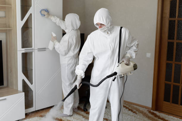 24/7 Emergency Odor Removal experts in Pittstown, NJ
