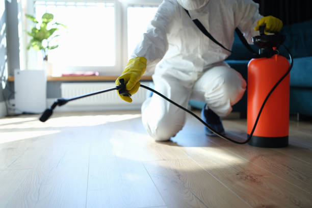 Reliable Odor Removal contractor in Pittstown, NJ by Trauma Clean Pros